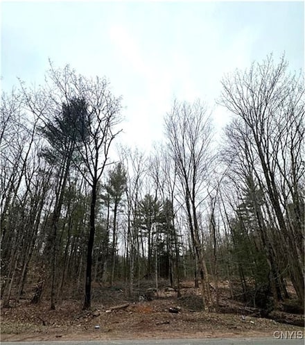 158 Potter Rd, West Monroe, NY 13167