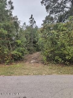 131 Powhatan Trail, Arrowhead Beach, NC 27932