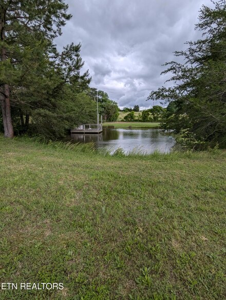Lot 7 Foster Rd, Blaine, TN 37709
