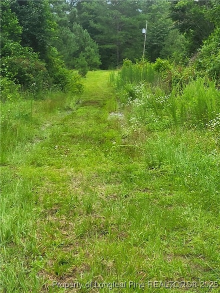 0 Sarah Ln, Laurinburg, NC 28352