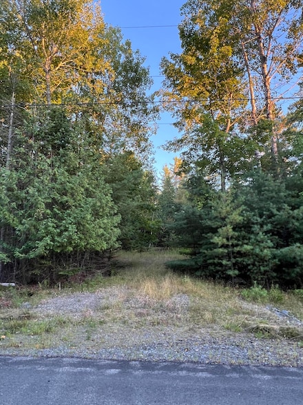 87 Thistle Rd, Milford, ME 04461