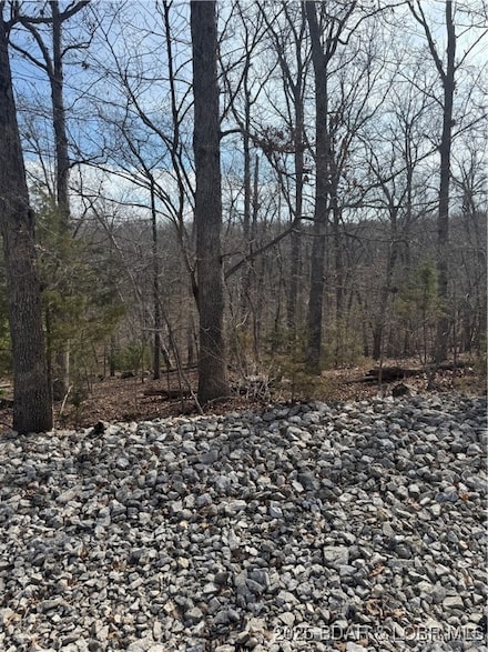 Lot 479 Parker Point, Village of Four Seasons, MO 65049