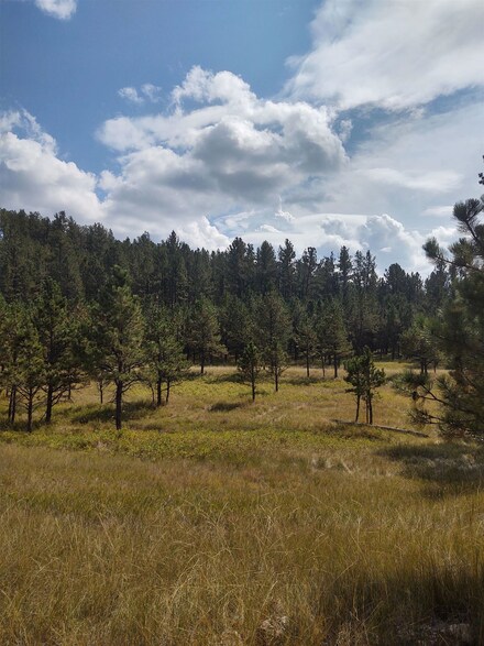Tracts 9/10 Hell Canyon Rd, Custer, SD 57730