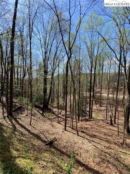 Tbd Elk Ridge Rd, Deep Gap, NC 28618
