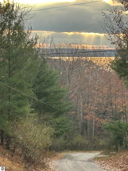 00 Mountain Rd Unit 10, Rapid City, MI 49676