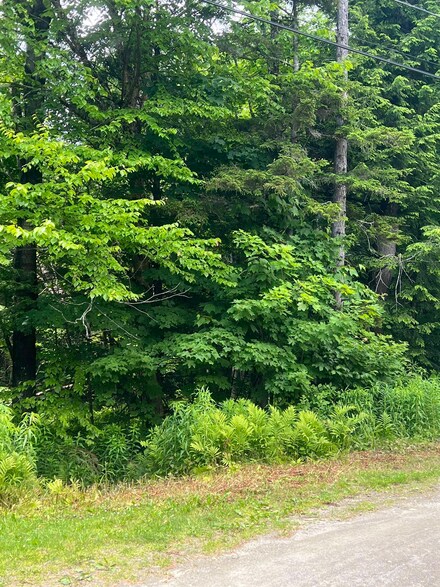 34 Darrah Loop, Wilmington, VT 05363