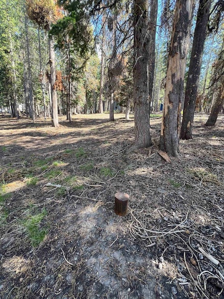 Lot 10 Lakeshore Dr, McCloud, CA 96057