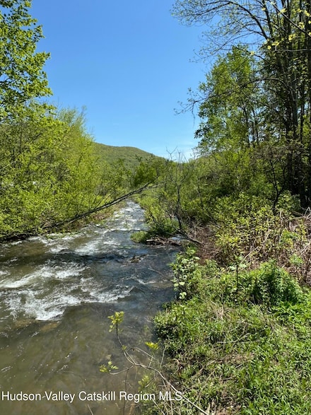Tbd New York 28, Oliverea, NY 12725