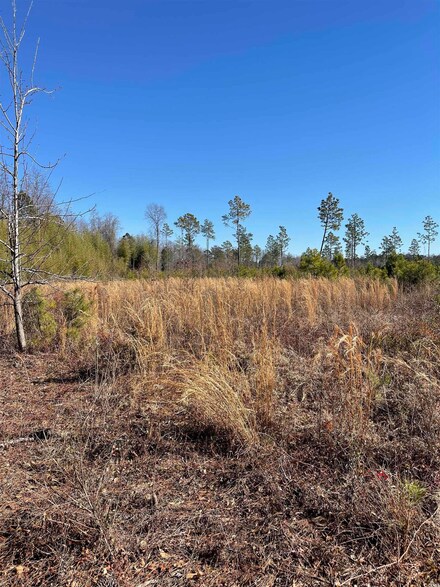 TBD Mincey Dr Unit TR 8-A, Loris, SC 29569