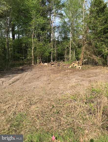 0 Capitola Rd Unit MDWC2018116, Tyaskin, MD 21865