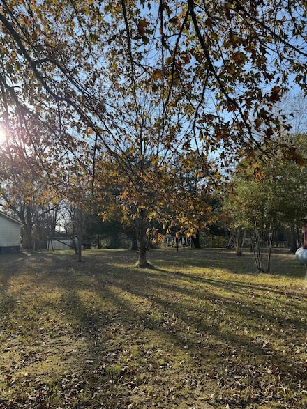 0 Cates Dr, Guntown, MS 38849