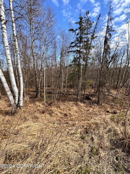 4651 S Coleman Dr, Wasilla, AK 99654