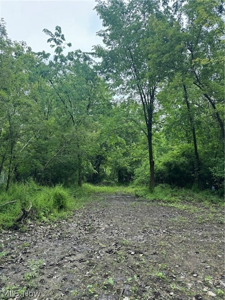 0 Russell Ave, Lorain, OH 44055