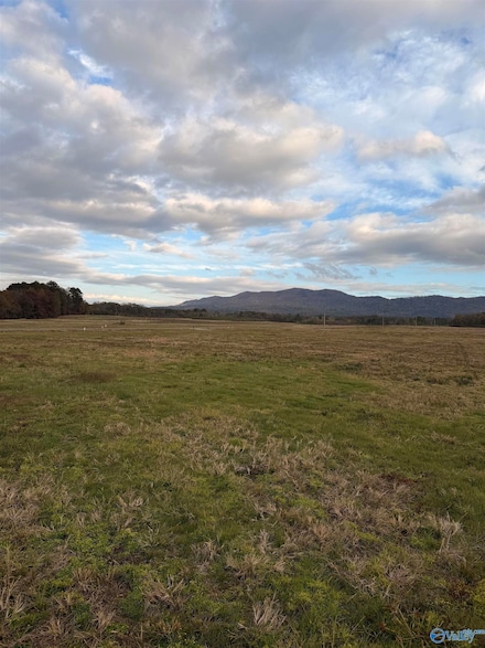 Lot 51 County Road 32, Piedmont, AL 36272