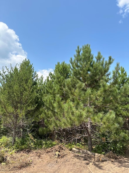 ON Cth Y Unit Lot 10, Tomahawk, WI 54487