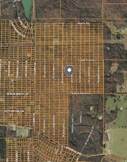 1306 Blackbird Ln, Horseshoe Bend, AR 72512