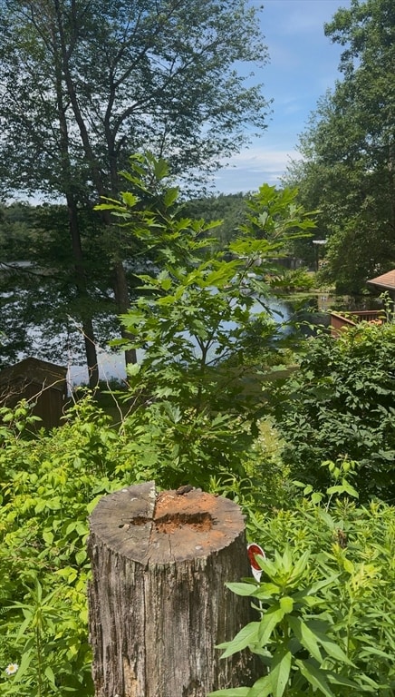 17 Shore Dr, Spencer, MA 01562