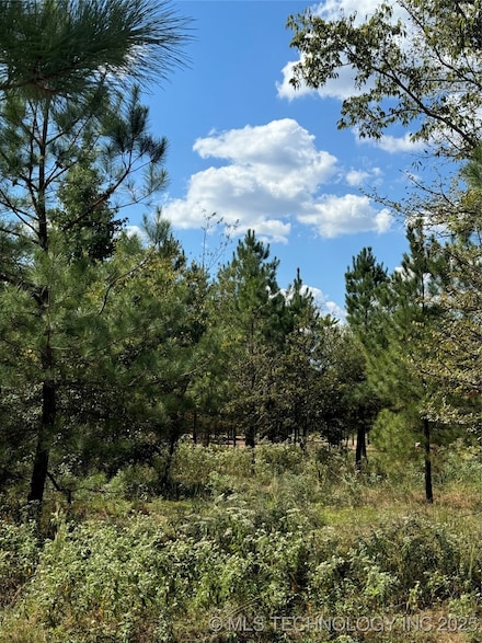 86 Hidden Pines Loop, Broken Bow, OK 74728