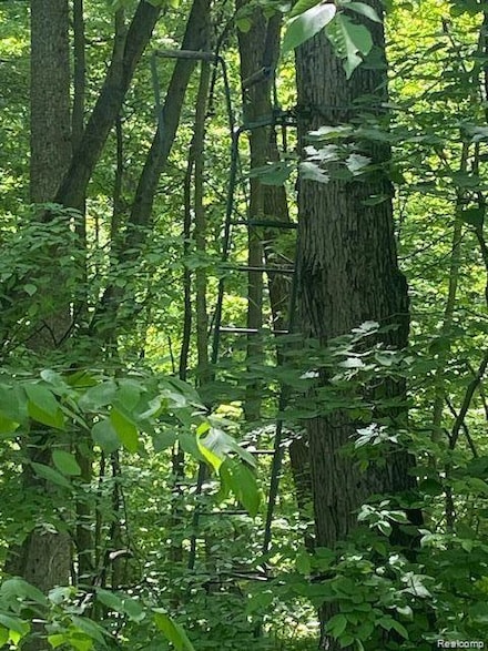 PARCEL 8 Deadwood Ln, Genoa Township, MI 48114