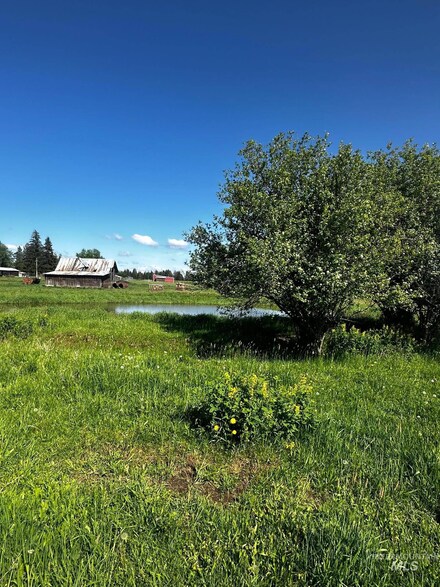 TBD Three Mile Rd, Weippe, ID 83553