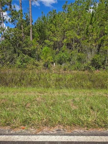0 Swamp Rd, Waycross, GA 31503