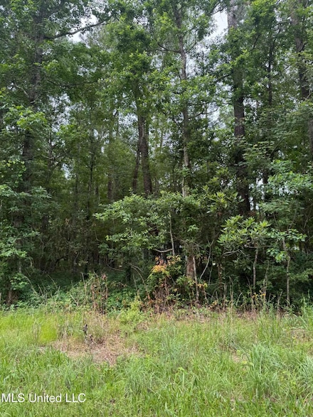 0 E Marion St Unit 4113499, Bay Saint Louis, MS 39520