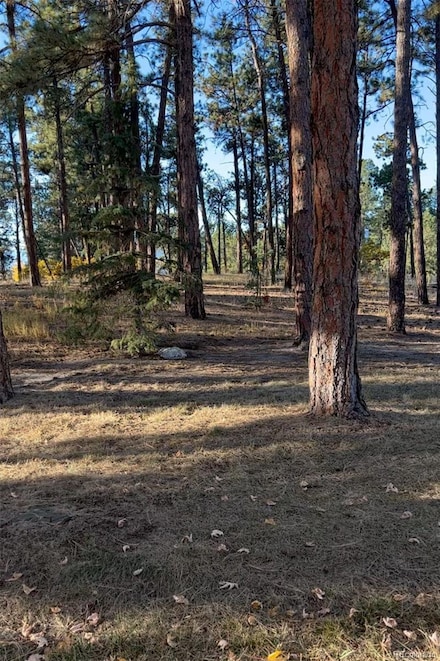 0 Rancho Escondido Lot 23c, Weston, CO 81091