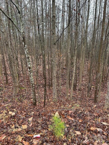 LOT 14 Willow Ridge Rd, Lincolnton, NC 28092