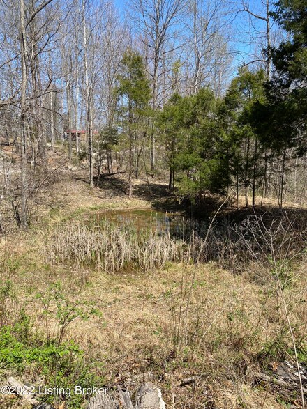 900 Buckner Hill North Rd, Bonnieville, KY 42713