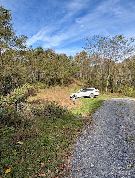 Tract 2 Turkey Trot Rd, Clyde, NC 28721