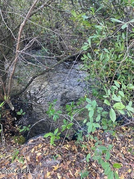 21526 NW Isoletta Ln, Altha, FL 32421