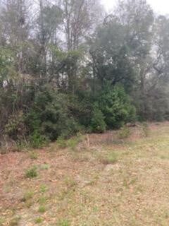 0 Willie St Unit 115880, Williston, SC 29853