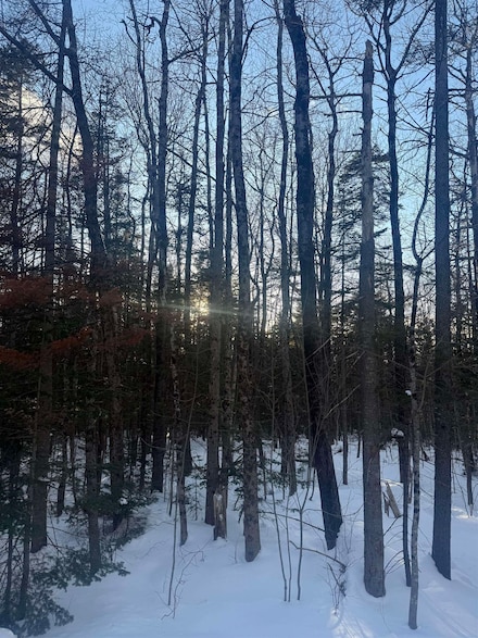 359 Dover Hill Rd, Dover, VT 05356