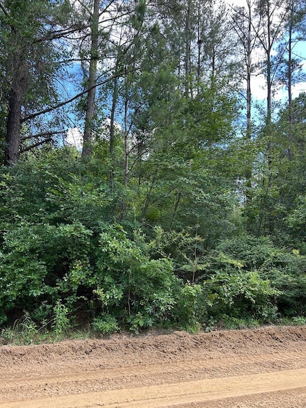 Lot 37 Crestview Rd, Abbeville, GA 31001