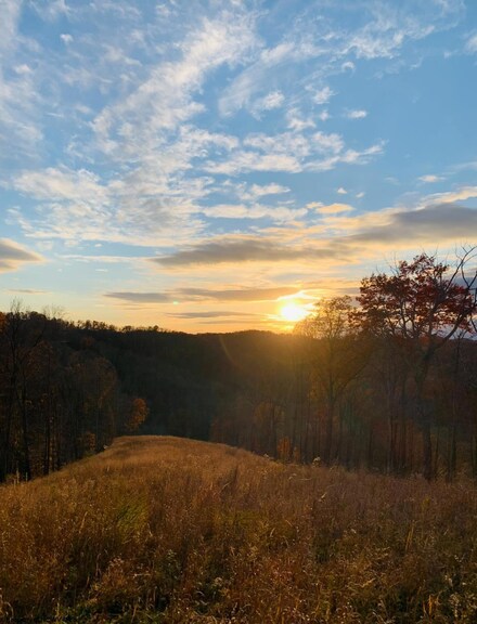 TBD Grass Run, Wolf Summit, WV 26426