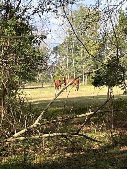 0 NW 142 Terrace, Alachua, FL 32615