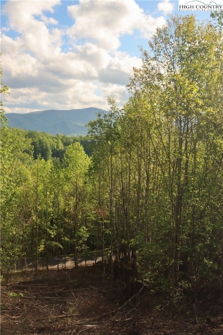 Lot 25 TBD Lake View Dr, Elk Park, NC 28622