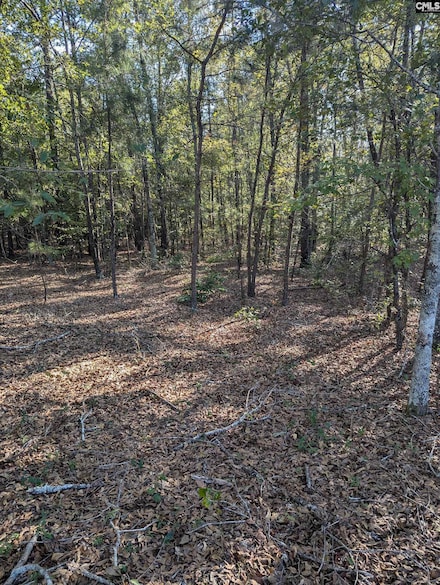 69 Fletcher Dr, Kershaw, SC 29067