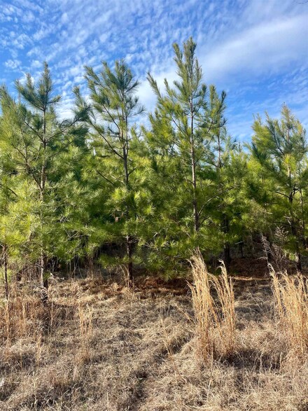 TBD Miller County 5, Doddridge, AR 71834