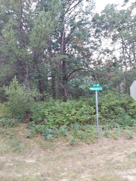Lot 21 Duck Creek Ct, Adams, WI 53910