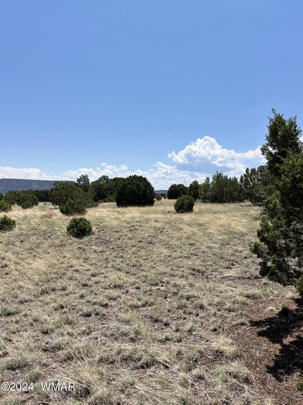 0 Sky Crest Dr Unit 252127, Eagar, AZ 85925