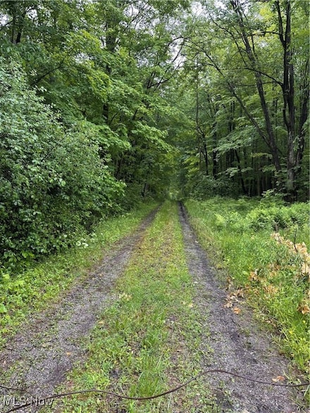 9161 Robinson Rd, Chardon, OH 44024