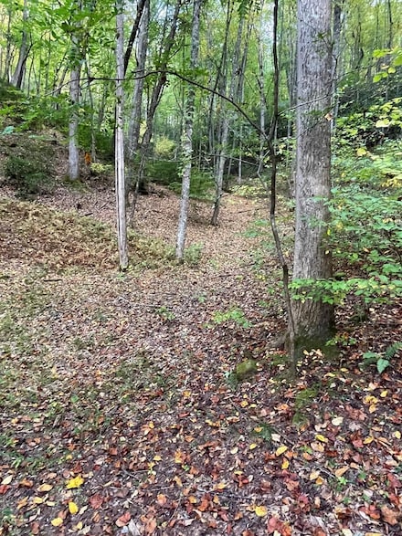 Lot 18 Bartram Trail Rd, Franklin, NC 28734