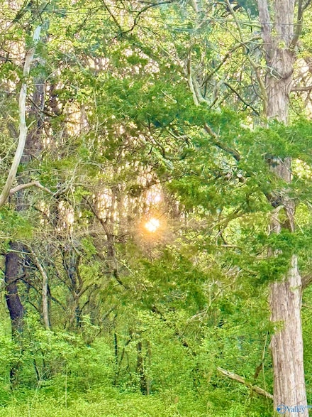 4.94 Acres Lyons Rd, Decatur, AL 35603