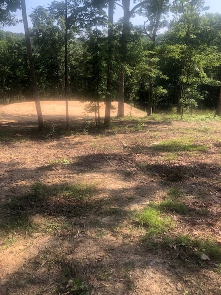 80 Caney Cove Rd, Phil Campbell, AL 35581