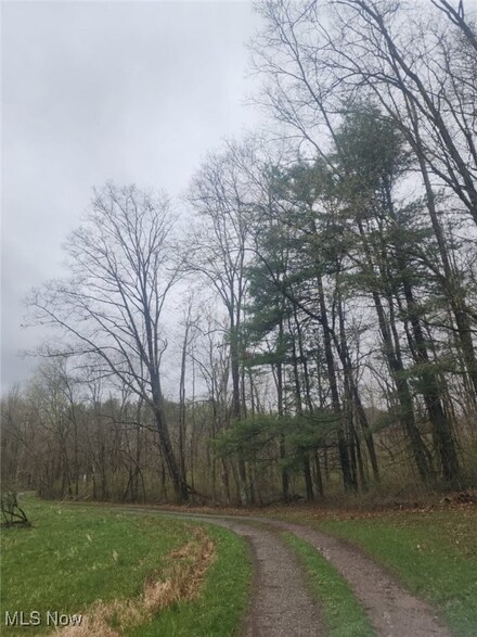 0 Cadiz-Dennison Rd, Scio, OH 43907