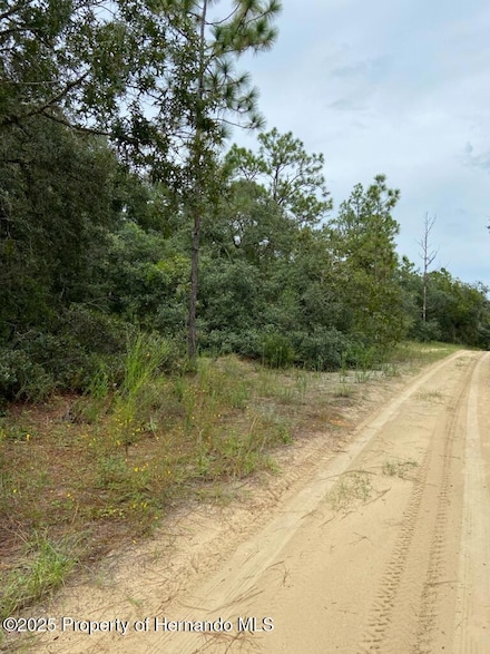 318 S Crestview Ave, Inverness, FL 34452