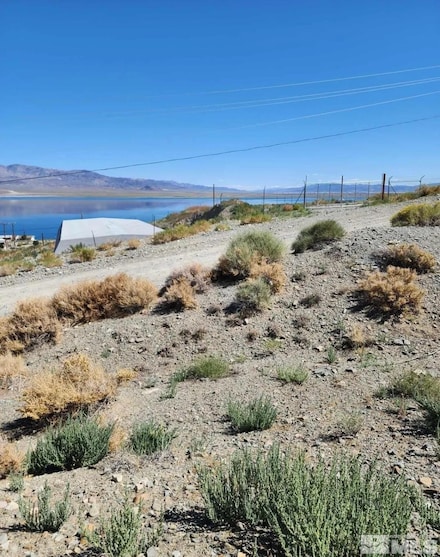 163 Boyd Dr, Walker Lake, NV 89415