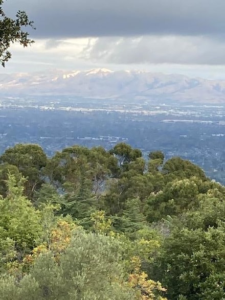 19335 Overlook Rd, Los Gatos, CA 95030
