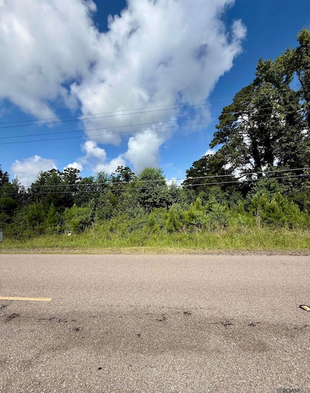 TBD Tract AP-1 Reinninger Rd, Denham Springs, LA 70706